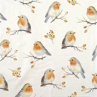 Single Decoupage Napkin - Robin Family