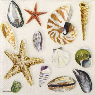 Paper Napkins - Shells (20 pieces)