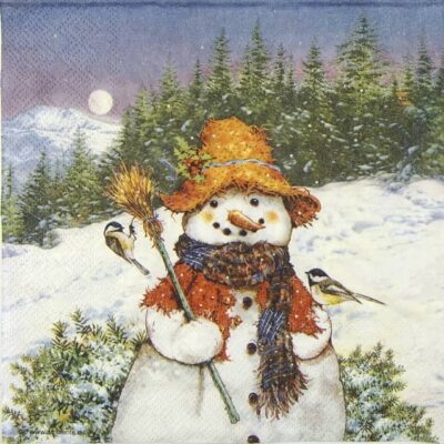 Cocktail Napkins - Snowman & Birds (20 pieces)
