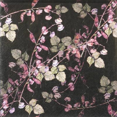 Single Decoupage Napkin - Haricot Bean