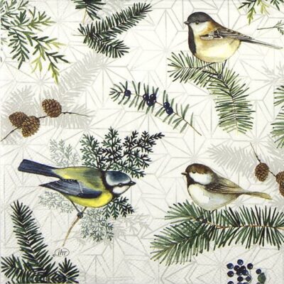 Paper Napkins - Maisies Friends (20 pieces)