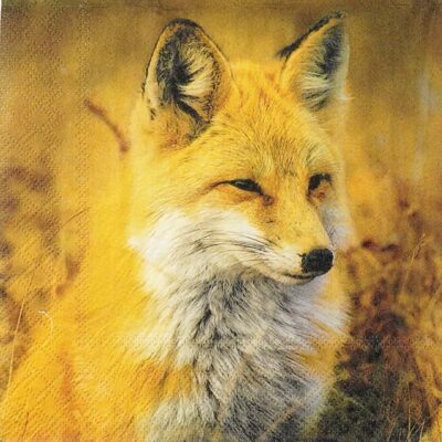 Paper Napkins - Fox (20 pieces)