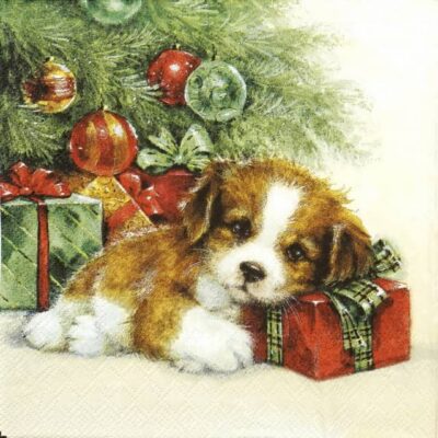 Paper Napkins - Gift Guard (20 pieces)