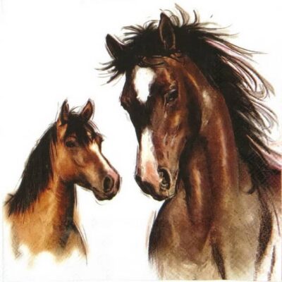 Single Decoupage Napkin - Amy and Lucy white