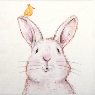 Single Decoupage Napkin - Carola Pabst: Rabbit & Friend