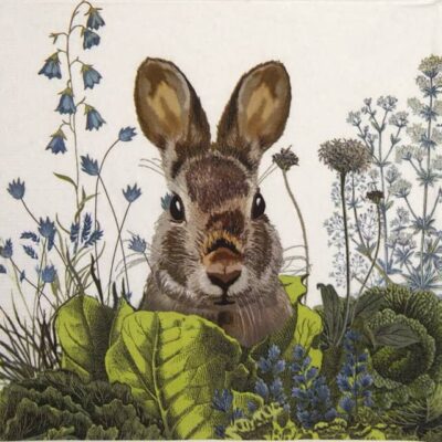 Single Decoupage Napkin - Fab Funky: Chou Chou Bunny