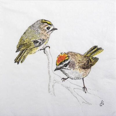 Single Decoupage Napkin - Charlotte Galloux: Roitelets