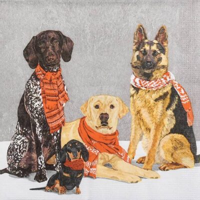 Cocktail Decoupage Napkin - Two Can Art: Scarf Dogs