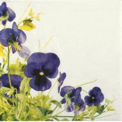 Single Decoupage Napkin - Pansies Frame