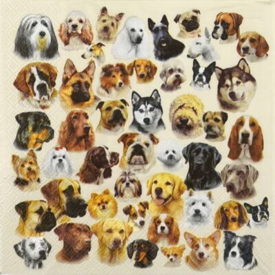 Single Decoupage Napkin - Collection Of Dogs