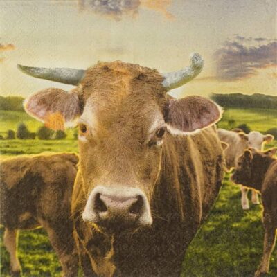 Single Decoupage Napkin - Cow In Sunset