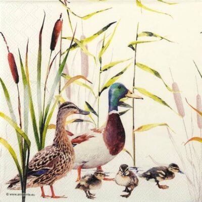 Single Decoupage Napkin - Ducks Couple