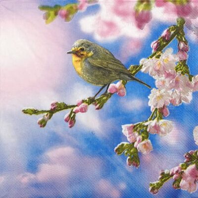 Single Decoupage Napkin - Robin in the Morning Sun