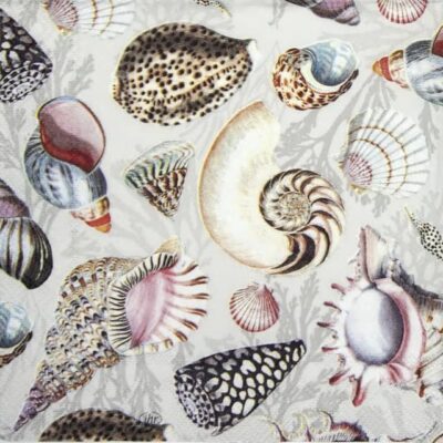 Cocktail Decoupage Napkin - Shells of the sea nature