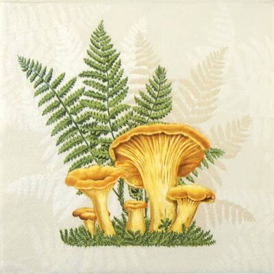 Single Decoupage Napkin - Boletus with Leaves of Fern