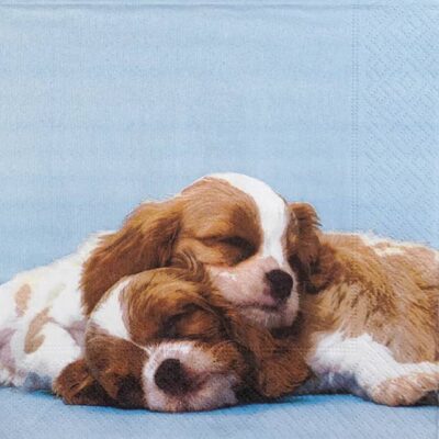 Paper Napkins - Puppy Love (20 pieces)