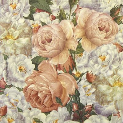 Single Decoupage Napkin - Tassotti: Armonia