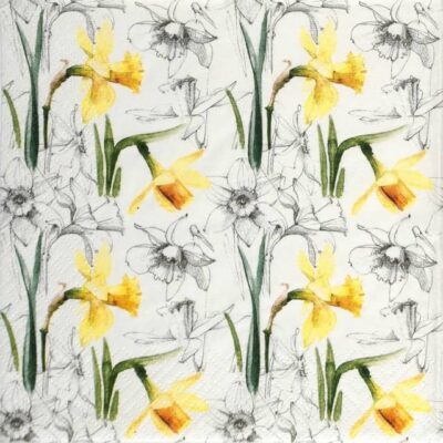 Single Decoupage Napkin - Narcissus Sketch