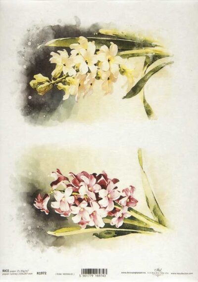 Rice Paper - Spring Flower Collection - R1972