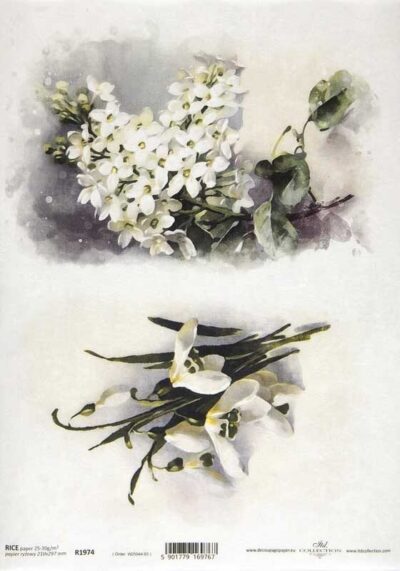 Rice Paper - Spring Flower Collection - R1974