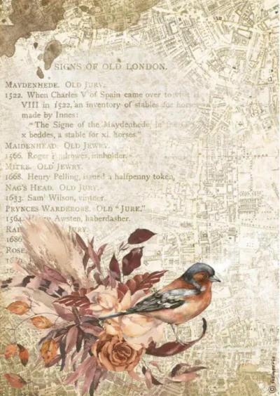 Stamperia Rice Paper A4 - Our Way Bird DFSA4713