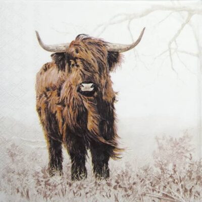 Paper Napkins - Highlander (20 pieces)