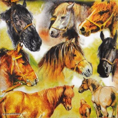 Collage of Horses Decoupage Napkin