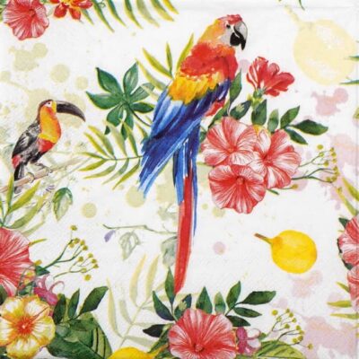 Tropical Birds Decoupage Napkin featuring vibrant parrots, exotic toucans, and colourful flowers from our premium craft collection.