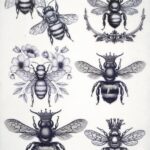 AB Studio Decoupage Rice Paper A/4 - Carte Italiano No. 59. A sheet of rice paper featuring various black and white vintage bee illustrations, some with crowns and floral accents.