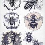AB Studio Decoupage Rice Paper A/4 - Vintage Bees & Frames - No. 58. A sheet featuring vintage-style bees, crowned emblems, and a classical female portrait.