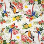 Tropical Birds Lunch Napkins 20 Pack featuring vibrant exotic bird designs for party table decor and craft workshops.