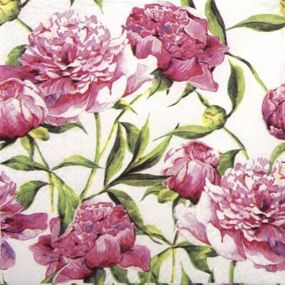 Paper Napkin - Pink Peonies