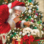 Just Be Quiet decoupage napkin featuring Santa Claus whispering to two golden retriever puppies in a basket, perfect for festive Christmas crafts.