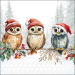 Wise Owls decoupage napkin showing three owls in Santa hats perched on a holly‑decorated branch with berries and pine sprigs in a snowy woodland scene.