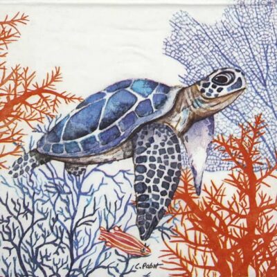 The Turtle PPD Decoupage Napkin – Single 33x33cm